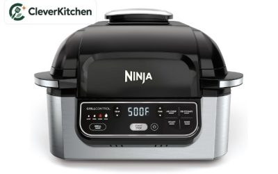 10 Best Indoor Grills in 2026