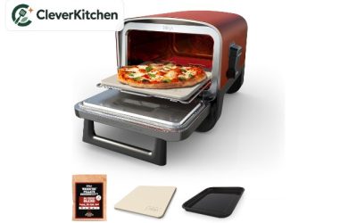9 Best Pizza Ovens in 2026