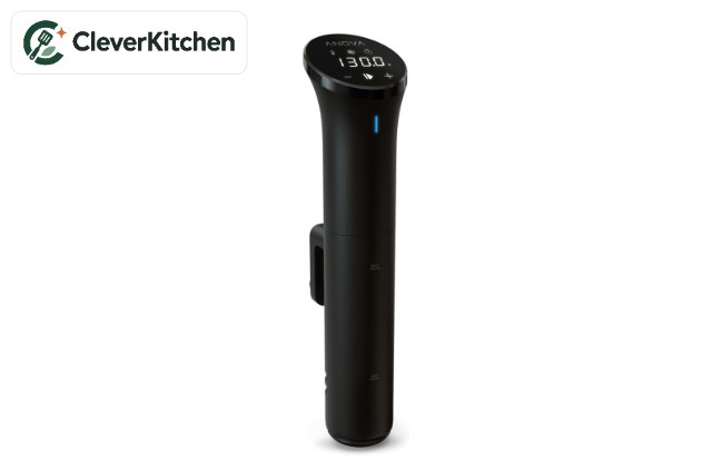 best sous vide machines under $100 2027